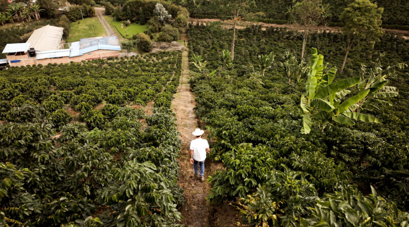 Colombia impulsa la inversión de impacto